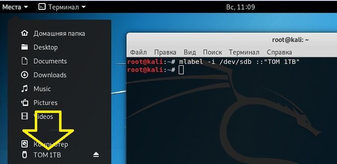 переименованная флешка